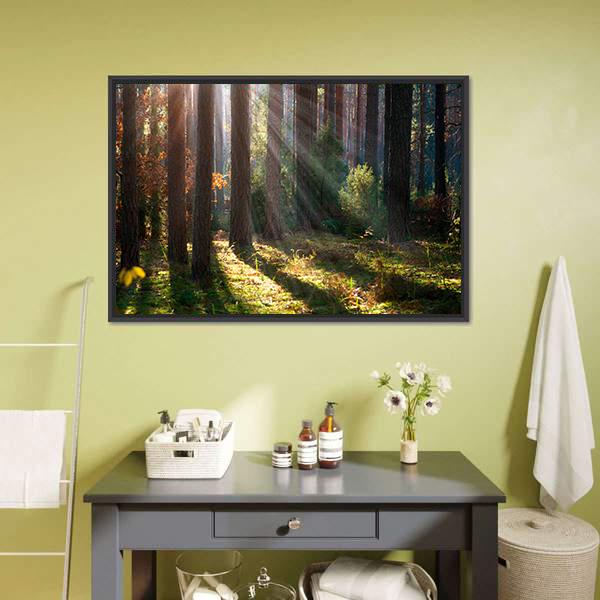 Old Autumn Forest Canvas Wall Art-3 Horizontal-Gallery Wrap-25" x 16"-Tiaracle