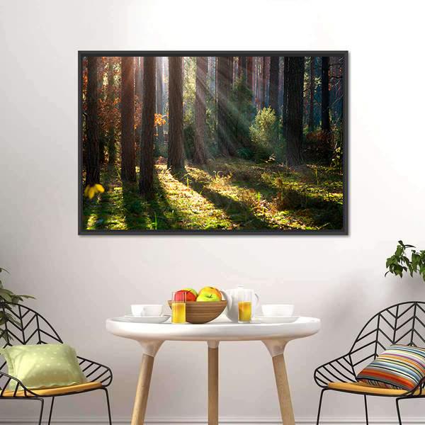 Old Autumn Forest Canvas Wall Art-3 Horizontal-Gallery Wrap-25" x 16"-Tiaracle