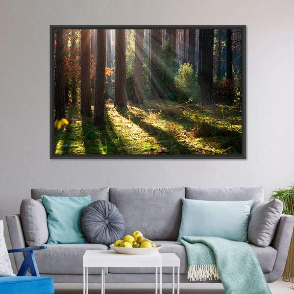 Old Autumn Forest Canvas Wall Art-3 Horizontal-Gallery Wrap-25" x 16"-Tiaracle