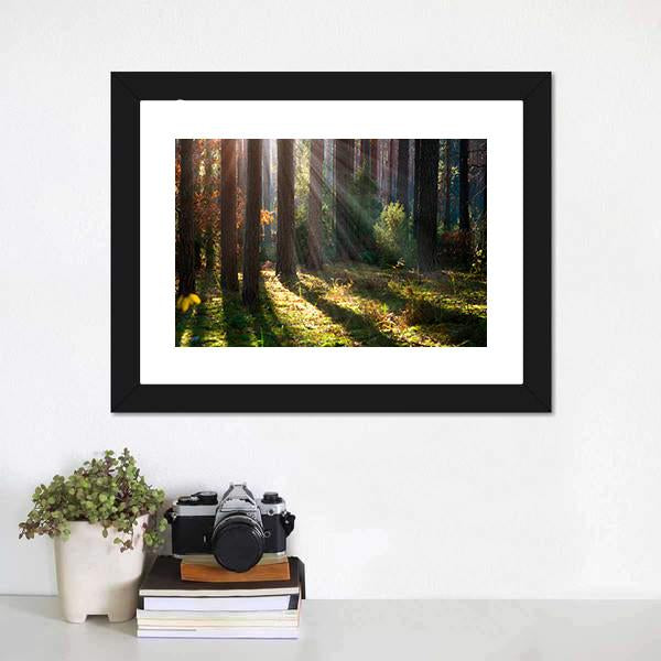 Old Autumn Forest Canvas Wall Art-3 Horizontal-Gallery Wrap-25" x 16"-Tiaracle