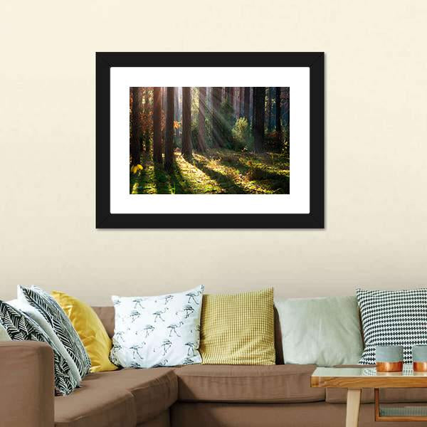 Old Autumn Forest Canvas Wall Art-3 Horizontal-Gallery Wrap-25" x 16"-Tiaracle