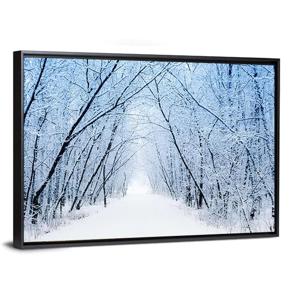 Pathway In Winter Canvas Wall Art-3 Horizontal-Gallery Wrap-25" x 16"-Tiaracle