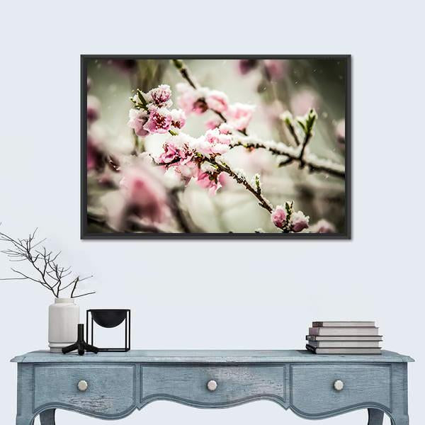 Peach Blossom Covered In Snow Canvas Wall Art-1 Piece-Floating Frame-24" x 16"-Tiaracle