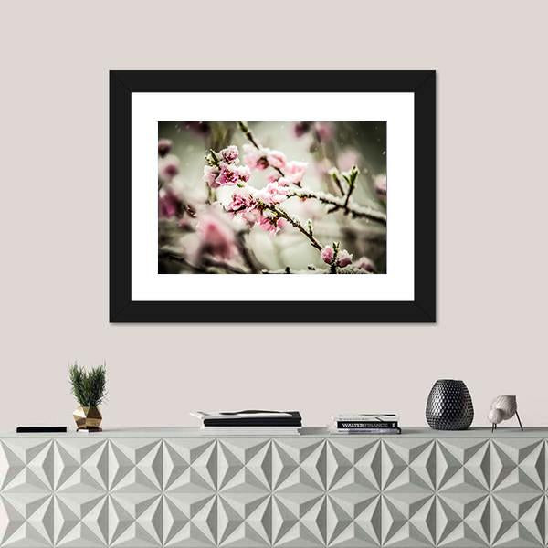 Peach Blossom Covered In Snow Canvas Wall Art-1 Piece-Framed Print-20" x 16"-Tiaracle