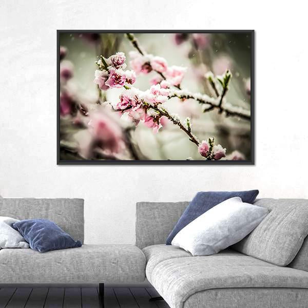 Peach Blossom Covered In Snow Canvas Wall Art-3 Horizontal-Gallery Wrap-25" x 16"-Tiaracle