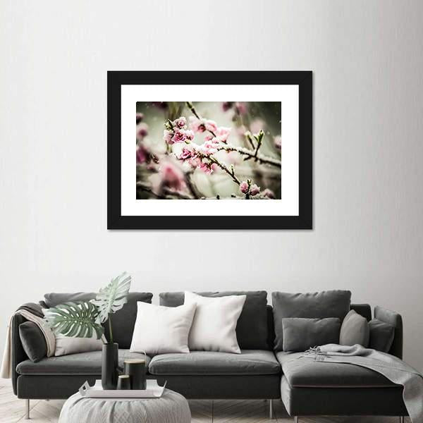 Peach Blossom Covered In Snow Canvas Wall Art-3 Horizontal-Gallery Wrap-25" x 16"-Tiaracle