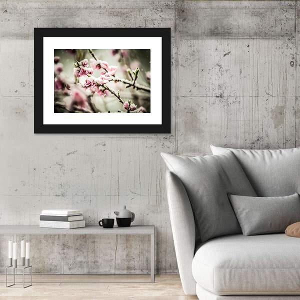 Peach Blossom Covered In Snow Canvas Wall Art-3 Horizontal-Gallery Wrap-25" x 16"-Tiaracle