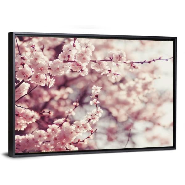 Pink Cherry Blossoms Flowers Canvas Wall Art-1 Piece-Floating Frame-24" x 16"-Tiaracle