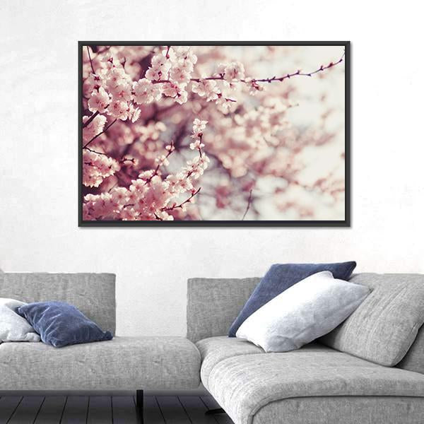 Pink Cherry Blossoms Flowers Canvas Wall Art-3 Horizontal-Gallery Wrap-25" x 16"-Tiaracle