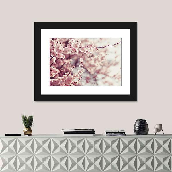 Pink Cherry Blossoms Flowers Canvas Wall Art-3 Horizontal-Gallery Wrap-25" x 16"-Tiaracle