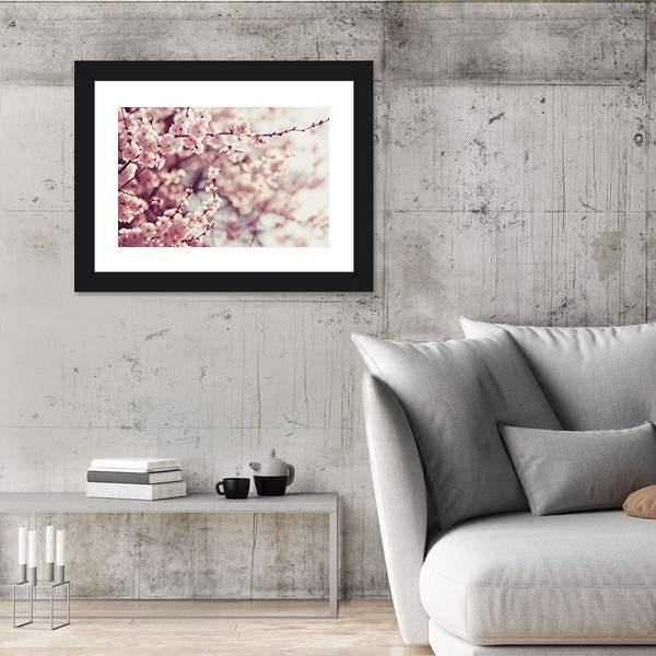 Pink Cherry Blossoms Flowers Canvas Wall Art-3 Horizontal-Gallery Wrap-25" x 16"-Tiaracle