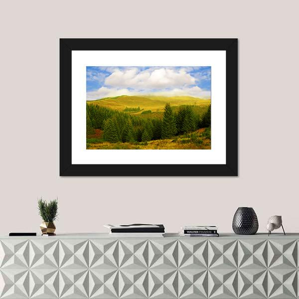 Queen Elizabeth Forest Park Canvas Wall Art-1 Piece-Framed Print-20" x 16"-Tiaracle