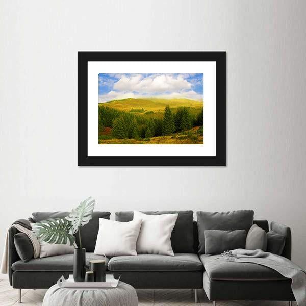 Queen Elizabeth Forest Park Canvas Wall Art-3 Horizontal-Gallery Wrap-25" x 16"-Tiaracle