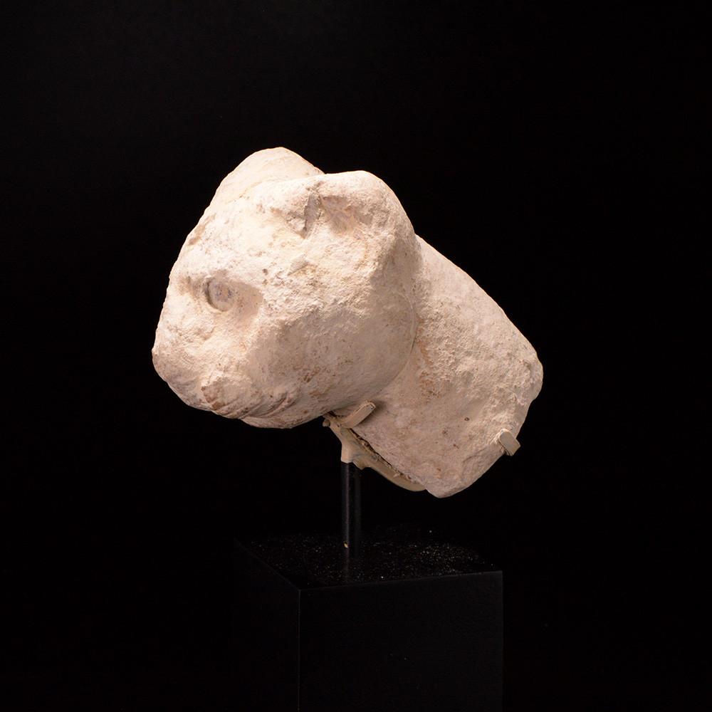 Ein ägyptischer Kalksteinkopf einer Katze, spätptolemäische Zeit, ca. 664 - 332 v. Chr.