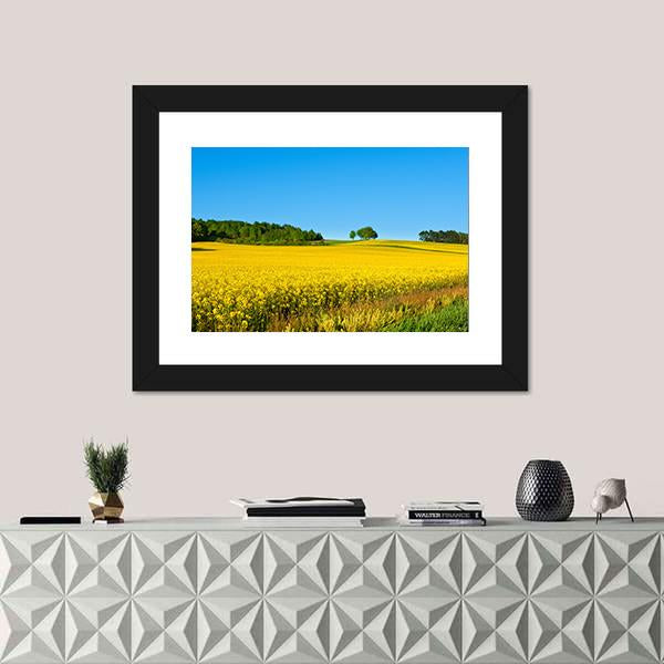 Rapeseed Field with Forest Canvas Wall Art-1 Piece-Framed Print-20" x 16"-Tiaracle