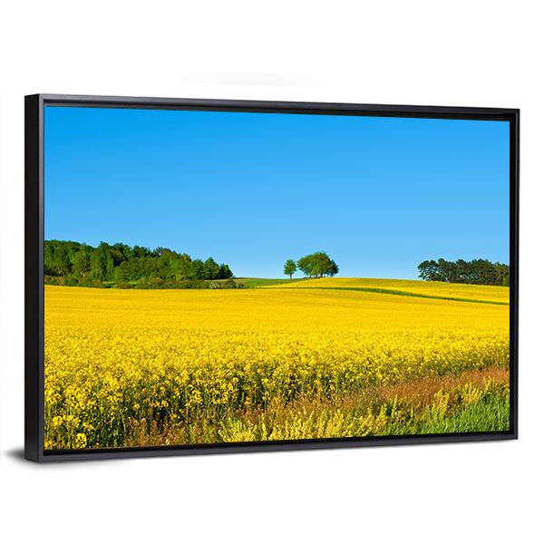 Rapeseed Field with Forest Canvas Wall Art-3 Horizontal-Gallery Wrap-25" x 16"-Tiaracle