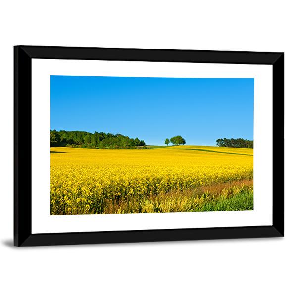 Rapeseed Field with Forest Canvas Wall Art-3 Horizontal-Gallery Wrap-25" x 16"-Tiaracle