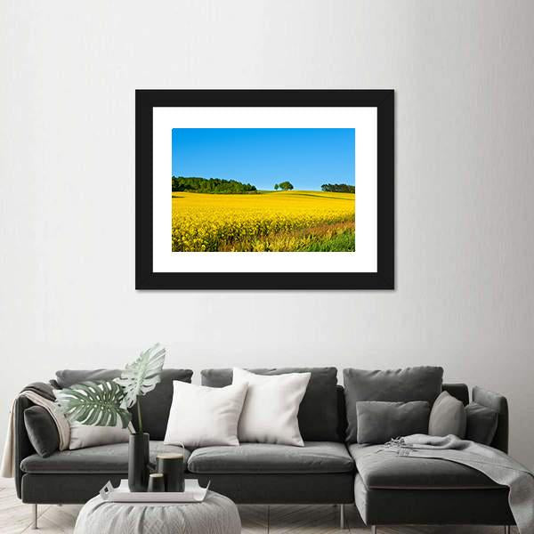 Rapeseed Field with Forest Canvas Wall Art-3 Horizontal-Gallery Wrap-25" x 16"-Tiaracle