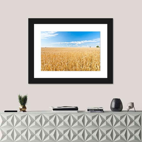 Ripe Wheat Field And Blue Sky With Clouds Canvas Wall Art-1 Piece-Framed Print-20" x 16"-Tiaracle