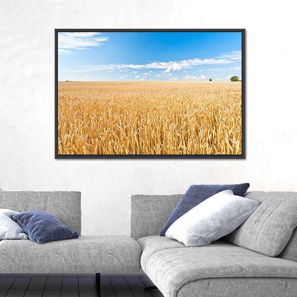 Ripe Wheat Field And Blue Sky With Clouds Canvas Wall Art-3 Horizontal-Gallery Wrap-25" x 16"-Tiaracle