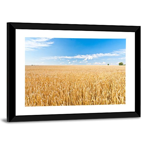 Ripe Wheat Field And Blue Sky With Clouds Canvas Wall Art-3 Horizontal-Gallery Wrap-25" x 16"-Tiaracle