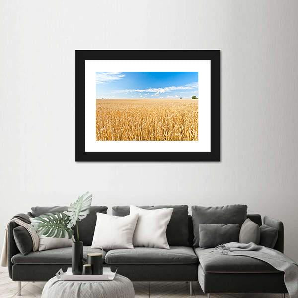 Ripe Wheat Field And Blue Sky With Clouds Canvas Wall Art-3 Horizontal-Gallery Wrap-25" x 16"-Tiaracle