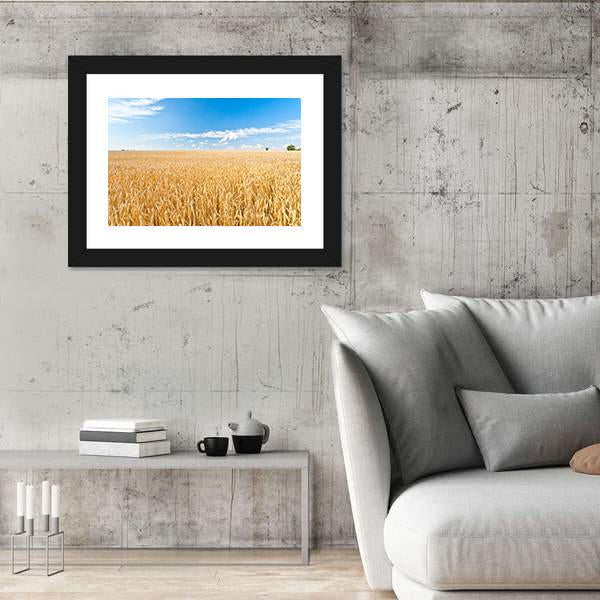 Ripe Wheat Field And Blue Sky With Clouds Canvas Wall Art-3 Horizontal-Gallery Wrap-25" x 16"-Tiaracle