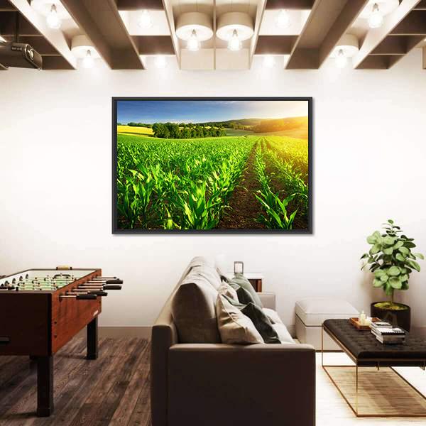 Rows Of Young Corn Plants On A Fertile Field Canvas Wall Art-3 Horizontal-Gallery Wrap-25" x 16"-Tiaracle