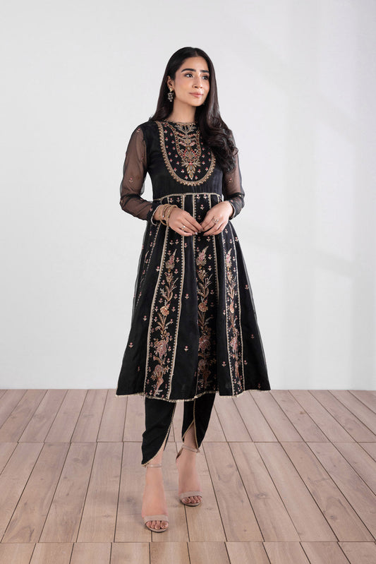 Embroidered Organza Pishwas