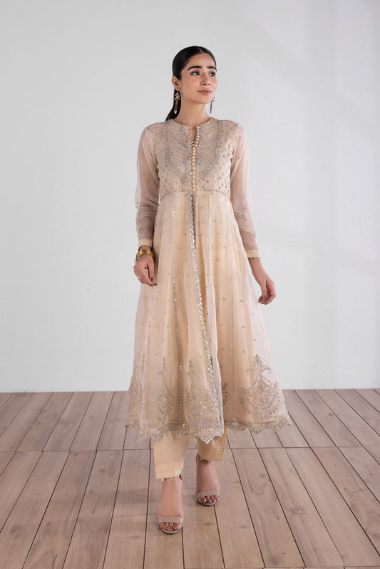 Embroidered Organza Pishwas