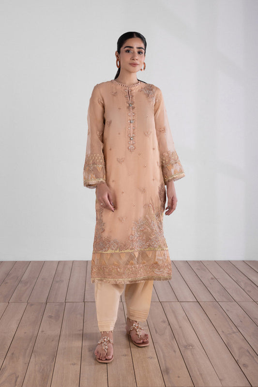 Embroidered Organza Shirt