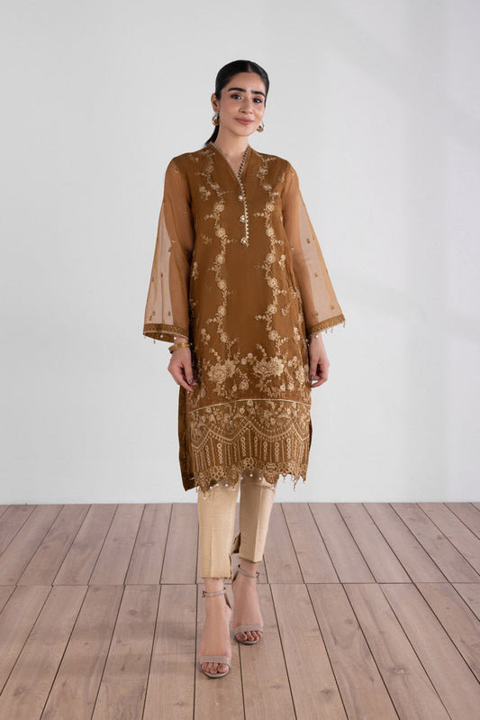 Embroidered Organza Shirt