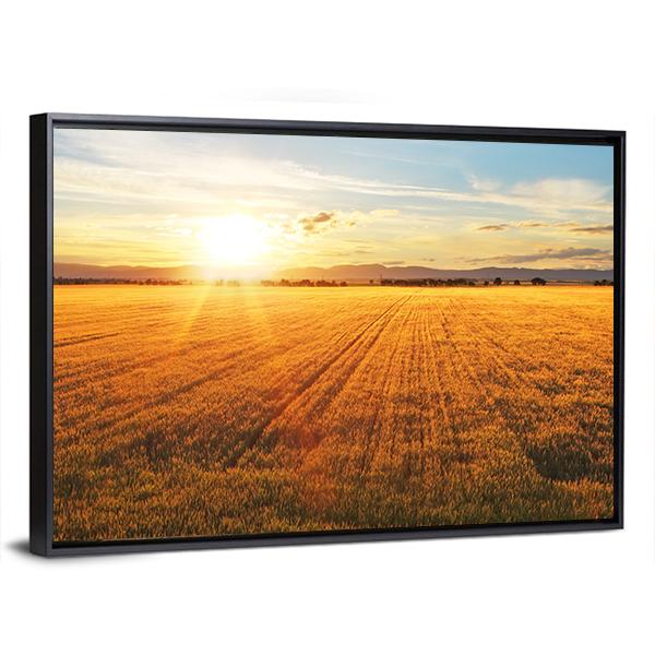 Sunset Over Wheat Field Canvas Wall Art-3 Horizontal-Gallery Wrap-25" x 16"-Tiaracle