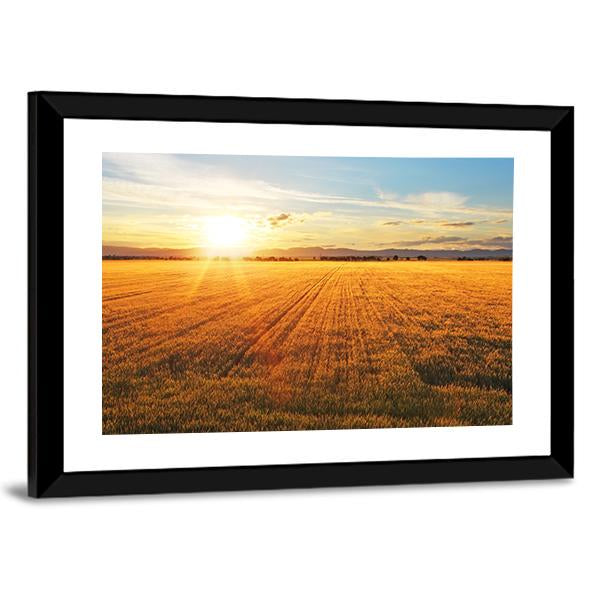 Sunset Over Wheat Field Canvas Wall Art-3 Horizontal-Gallery Wrap-25" x 16"-Tiaracle