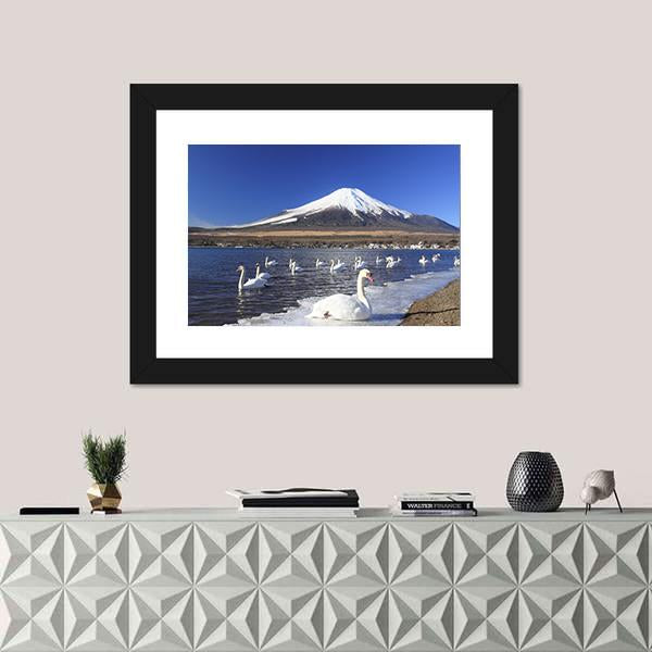 Swans Infront Of Mount Fuji Canvas Wall Art-1 Piece-Framed Print-20" x 16"-Tiaracle