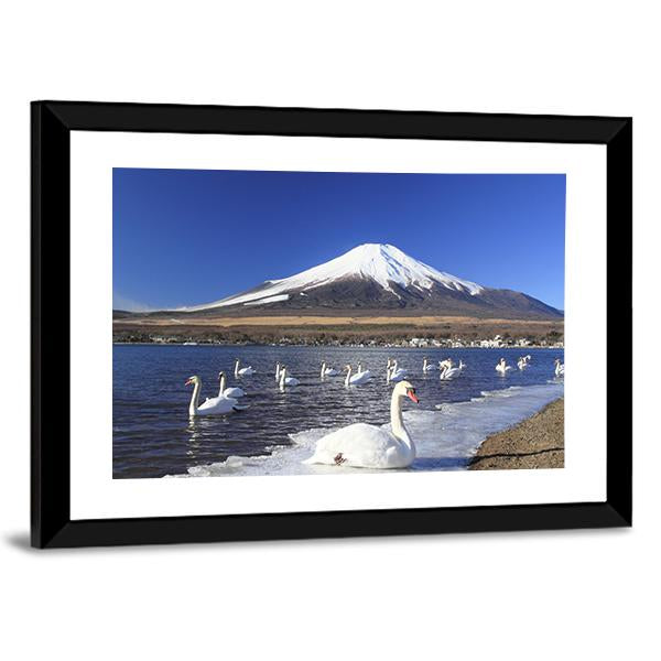 Swans Infront Of Mount Fuji Canvas Wall Art-3 Horizontal-Gallery Wrap-25" x 16"-Tiaracle