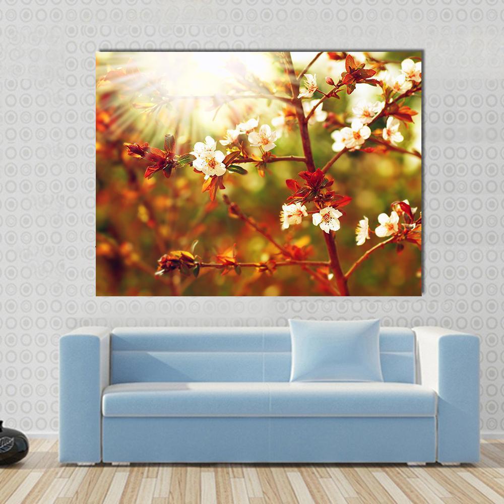 Almond Tree Blossom In Spring Canvas Wall Art-1 Piece-Gallery Wrap-48" x 32"-Tiaracle