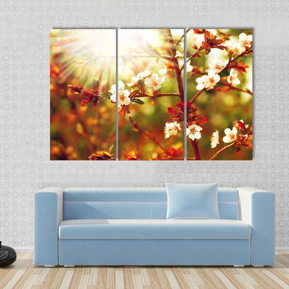 Almond Tree Blossom In Spring Canvas Wall Art-3 Horizontal-Gallery Wrap-37" x 24"-Tiaracle