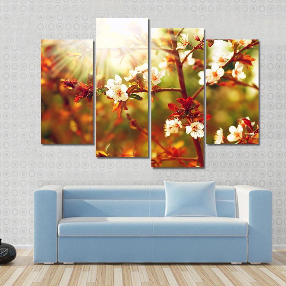 Almond Tree Blossom In Spring Canvas Wall Art-4 Pop-Gallery Wrap-50" x 32"-Tiaracle