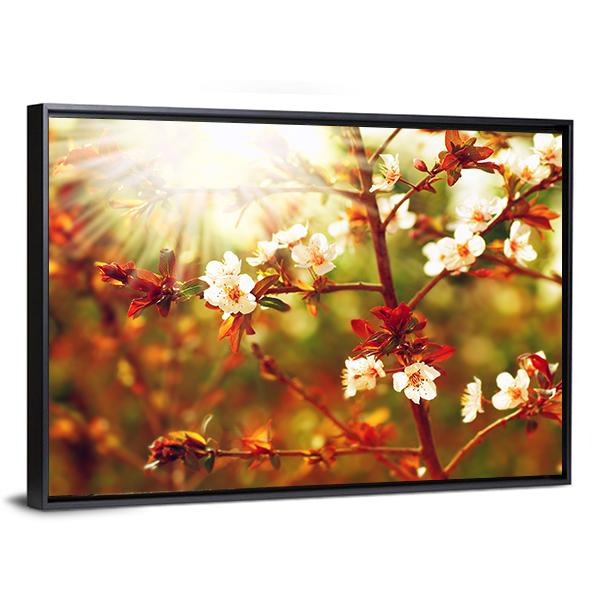 Almond Tree Blossom In Spring Canvas Wall Art-3 Horizontal-Gallery Wrap-25" x 16"-Tiaracle