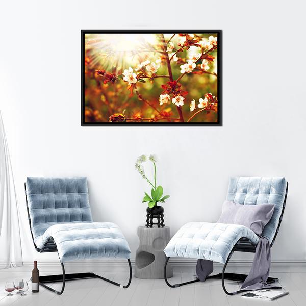 Almond Tree Blossom In Spring Canvas Wall Art-3 Horizontal-Gallery Wrap-25" x 16"-Tiaracle