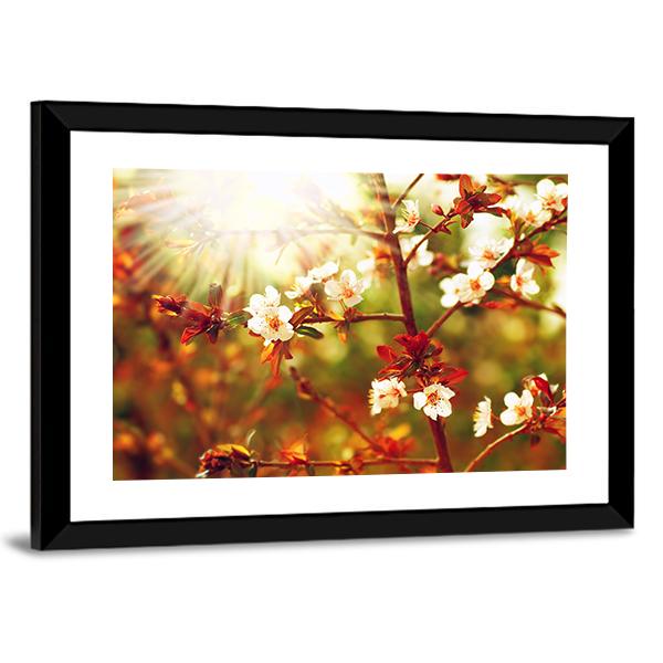 Almond Tree Blossom In Spring Canvas Wall Art-3 Horizontal-Gallery Wrap-25" x 16"-Tiaracle