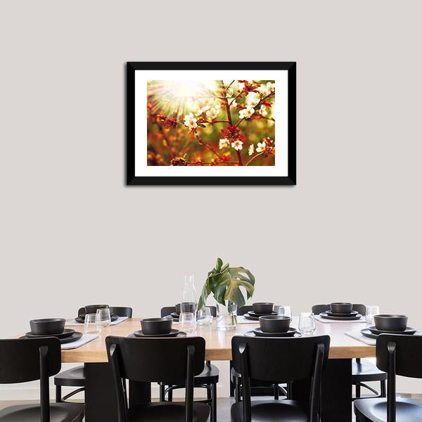 Almond Tree Blossom In Spring Canvas Wall Art-3 Horizontal-Gallery Wrap-25" x 16"-Tiaracle