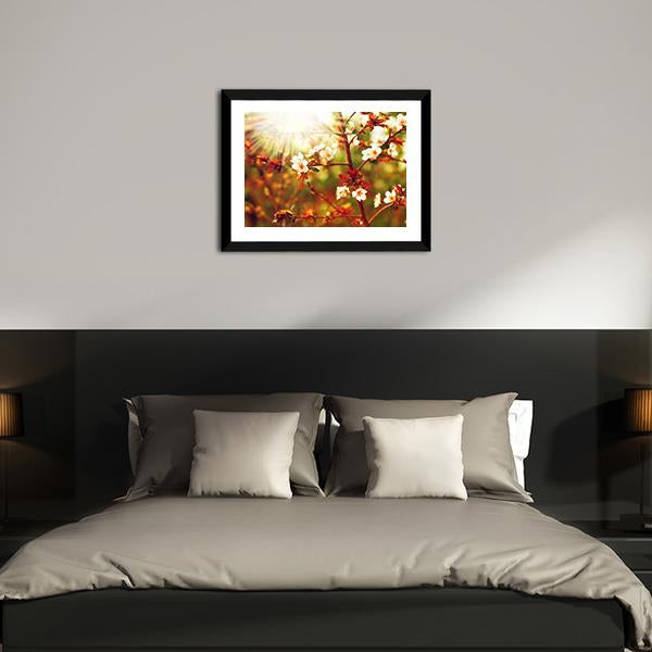 Almond Tree Blossom In Spring Canvas Wall Art-3 Horizontal-Gallery Wrap-25" x 16"-Tiaracle