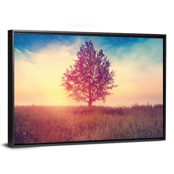 Alone Tree Over Sunrise Canvas Wall Art-3 Horizontal-Gallery Wrap-25" x 16"-Tiaracle