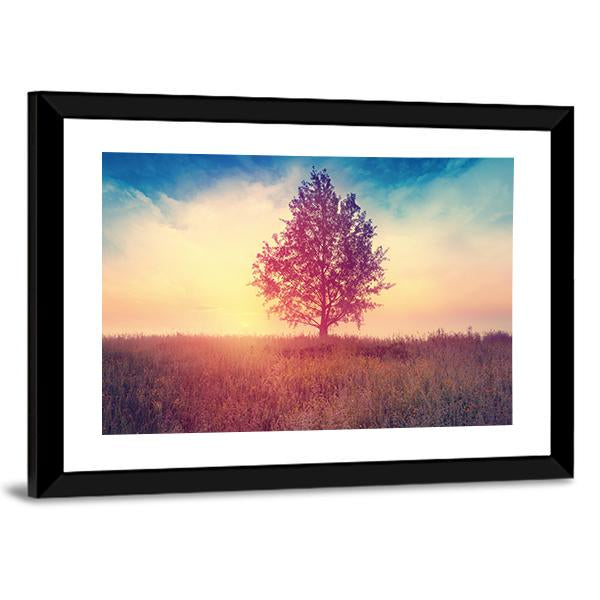 Alone Tree Over Sunrise Canvas Wall Art-3 Horizontal-Gallery Wrap-25" x 16"-Tiaracle