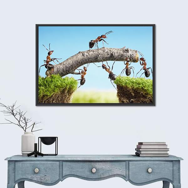 Ants Constructing Bridge Canvas Wall Art-3 Horizontal-Gallery Wrap-25" x 16"-Tiaracle