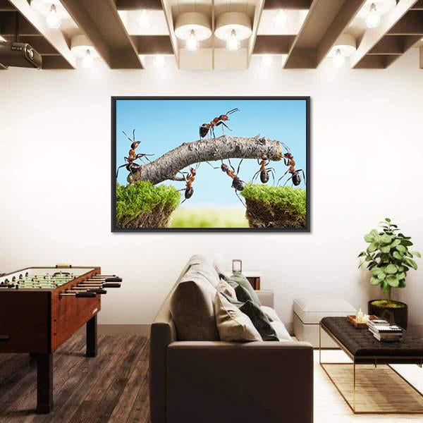 Ants Constructing Bridge Canvas Wall Art-3 Horizontal-Gallery Wrap-25" x 16"-Tiaracle