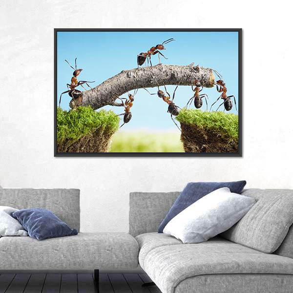 Ants Constructing Bridge Canvas Wall Art-1 Piece-Floating Frame-24" x 16"-Tiaracle