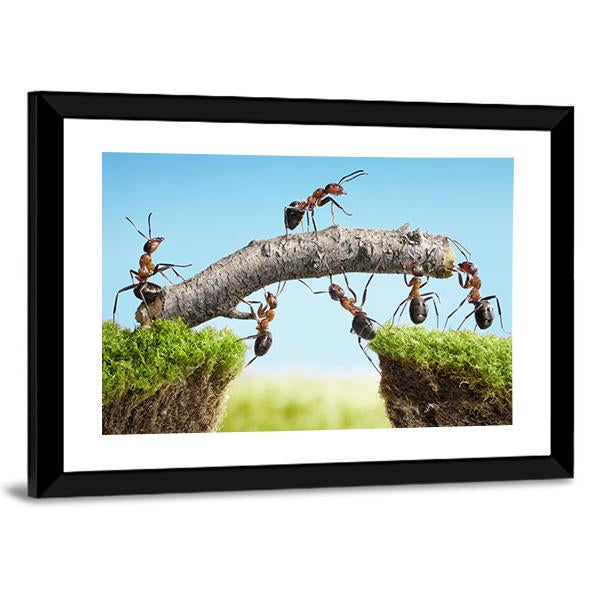 Ants Constructing Bridge Canvas Wall Art-3 Horizontal-Gallery Wrap-25" x 16"-Tiaracle
